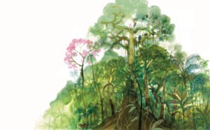 amazonas1 - Elizabeth Builes